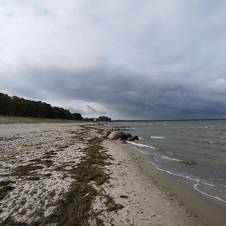 Ferienwohnungen "Weitblick" Und "Schwalbennest" Lodmannshagen 客房 照片