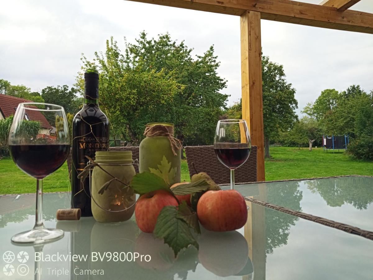 Ferienwohnungen "Weitblick" Und "Schwalbennest" Lodmannshagen 外观 照片