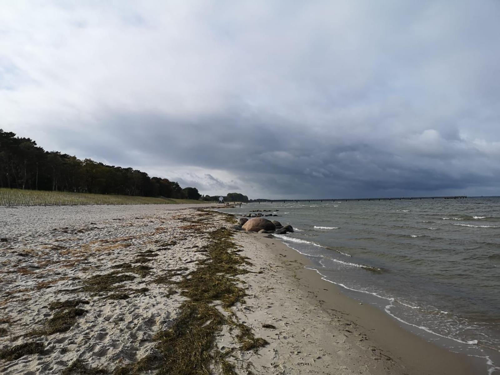 Ferienwohnungen "Weitblick" Und "Schwalbennest" Lodmannshagen 客房 照片