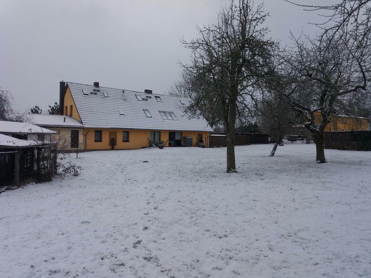 Ferienwohnungen "Weitblick" Und "Schwalbennest" Lodmannshagen 外观 照片