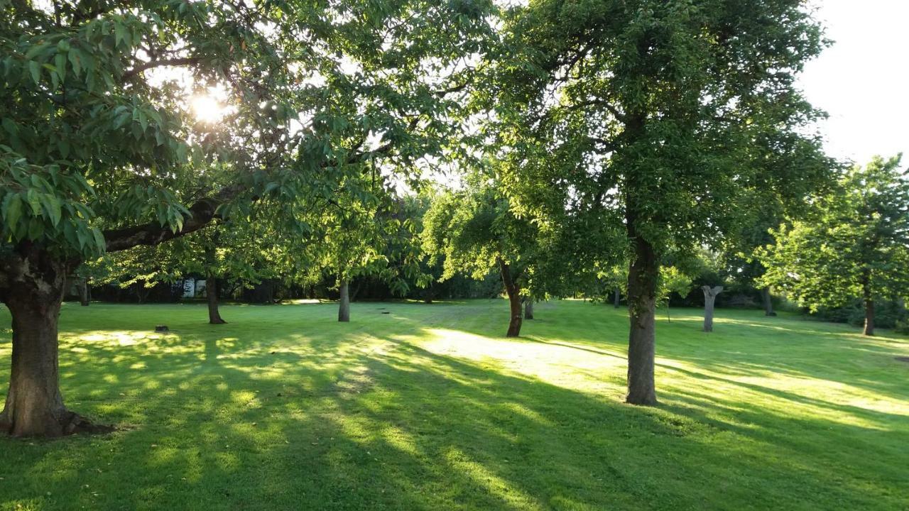 Ferienwohnungen "Weitblick" Und "Schwalbennest" Lodmannshagen 外观 照片