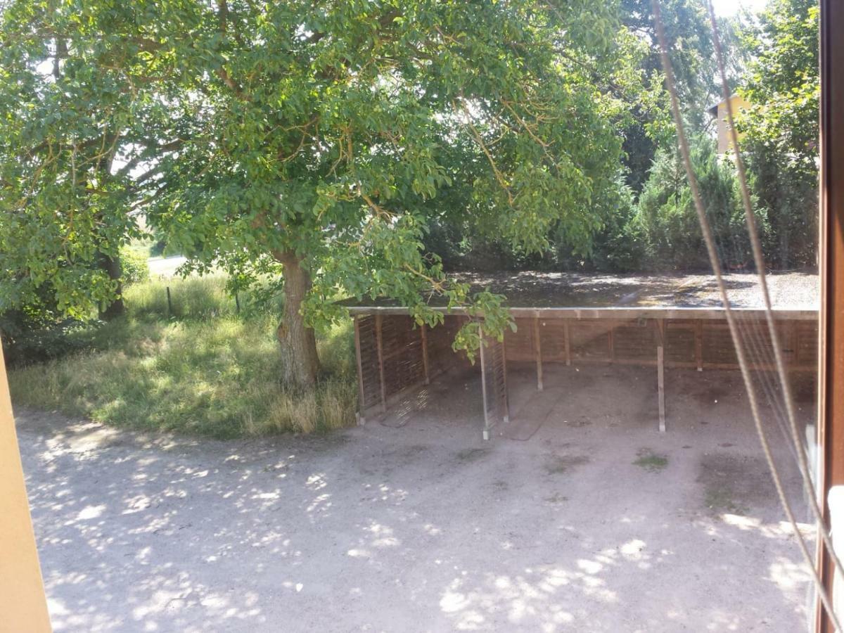 Ferienwohnungen "Weitblick" Und "Schwalbennest" Lodmannshagen 外观 照片