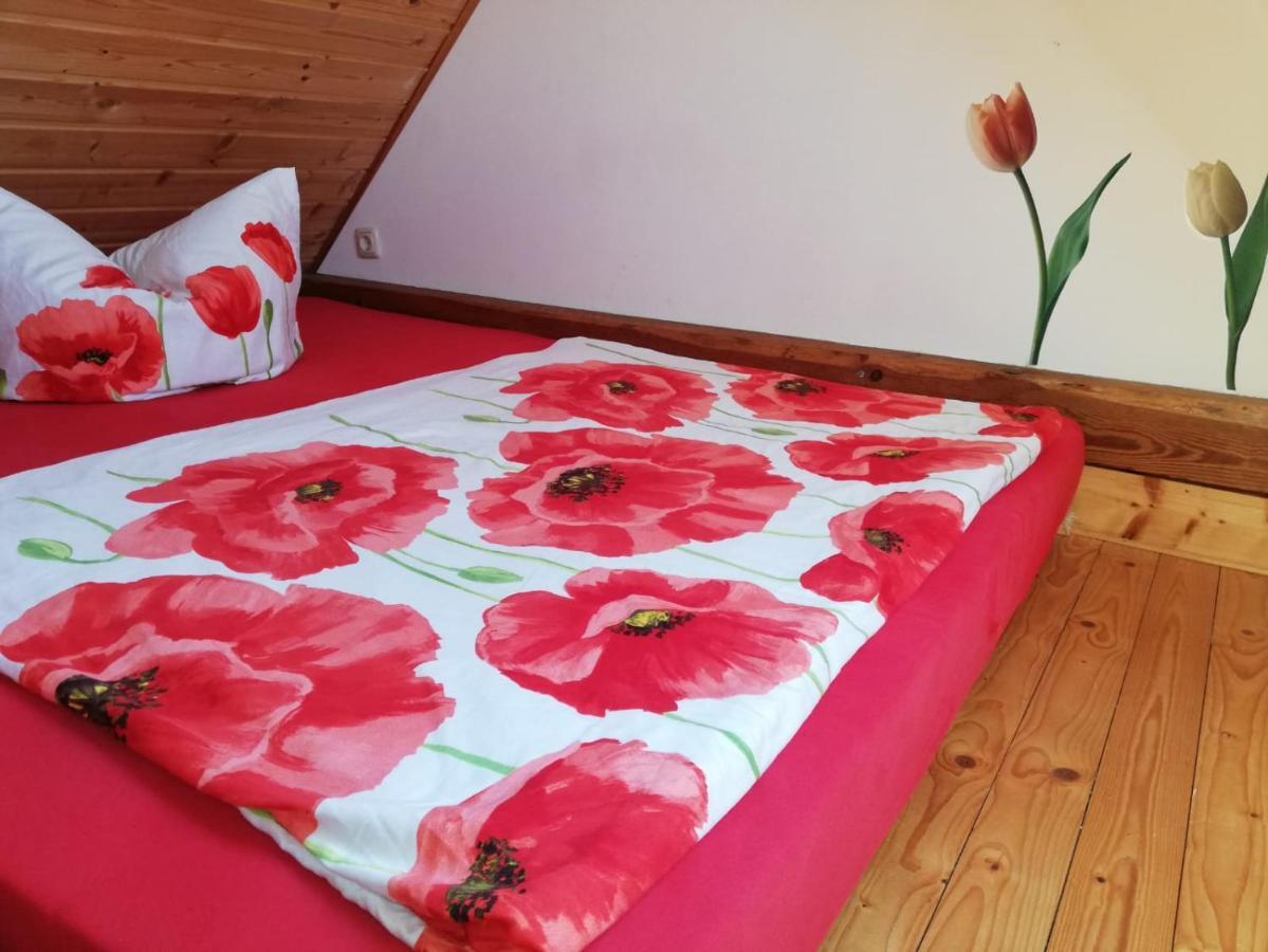 Ferienwohnungen "Weitblick" Und "Schwalbennest" Lodmannshagen 外观 照片